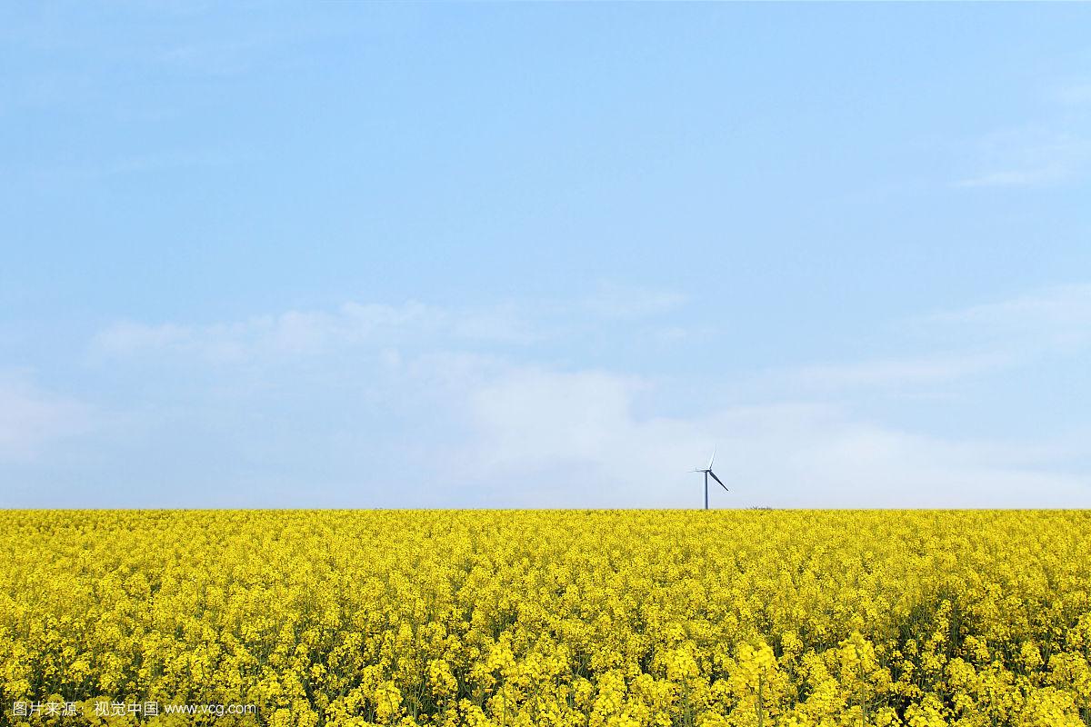 如何实现小程序和网站的联动和互通？