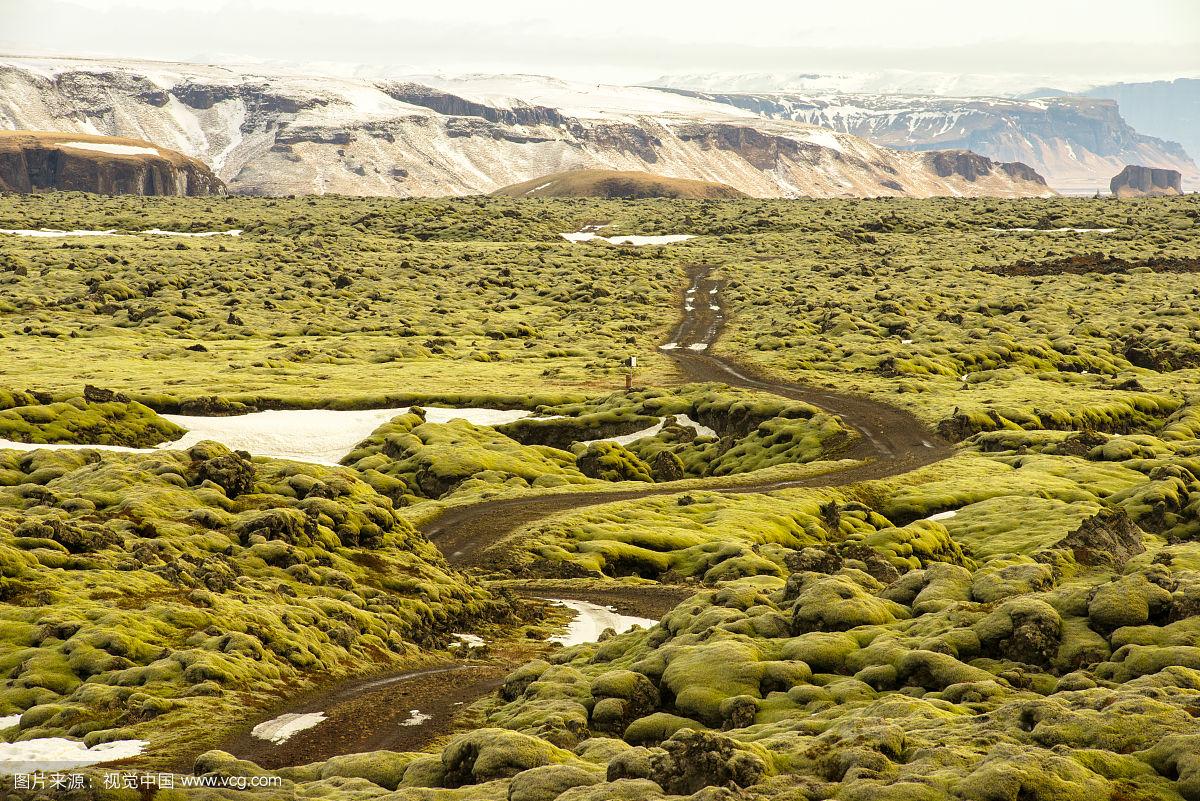 小程序中常用的数据存储和管理方式有哪些？